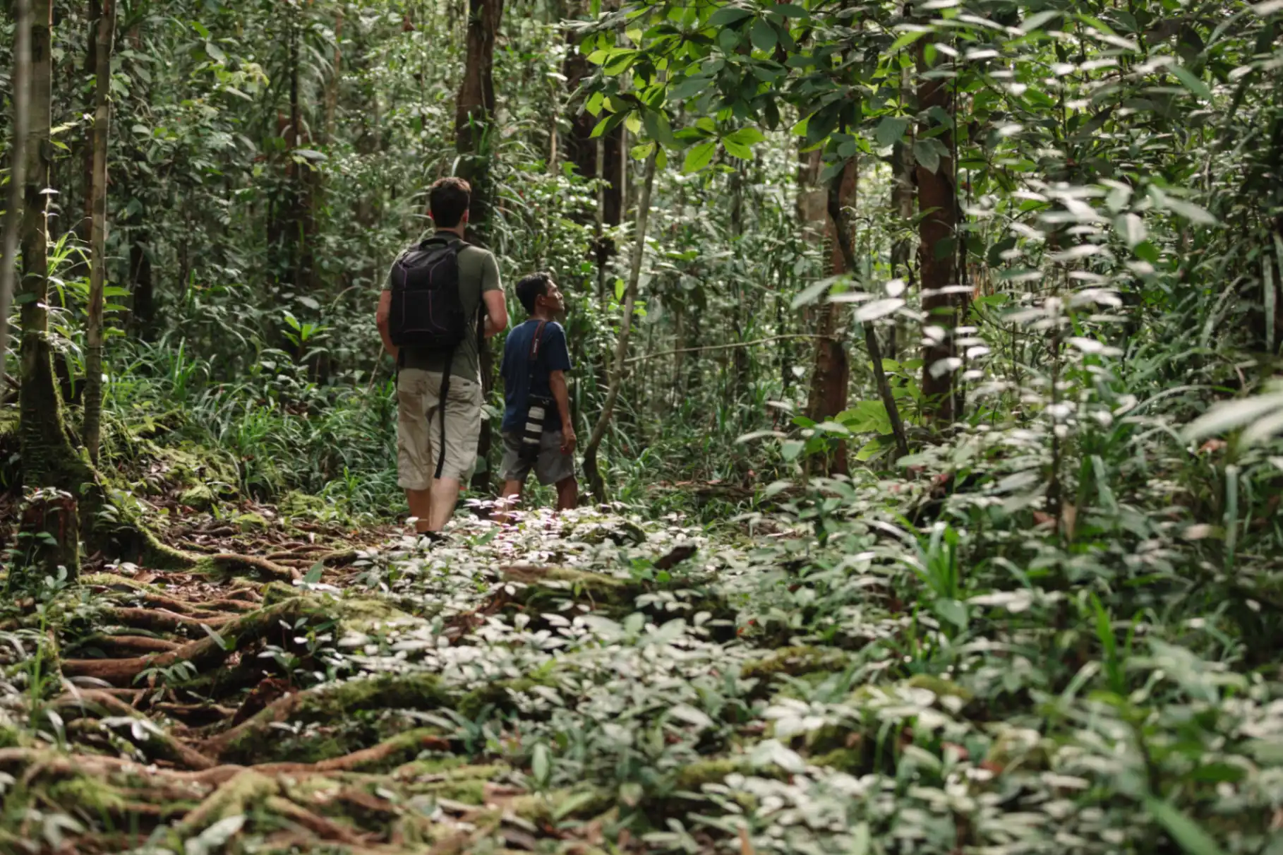 Trekking through Tanjung Puting National Park jungle trails