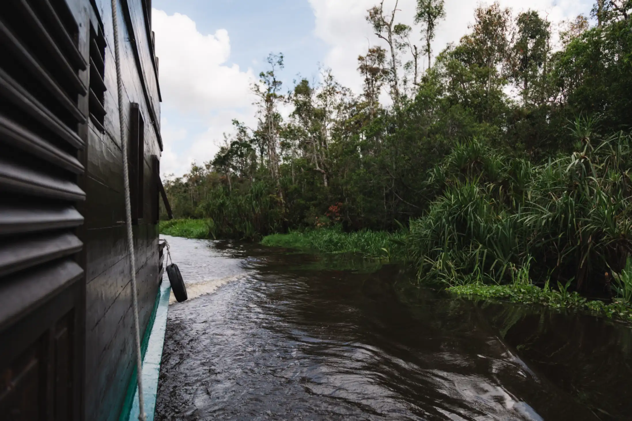 Klotok river boat