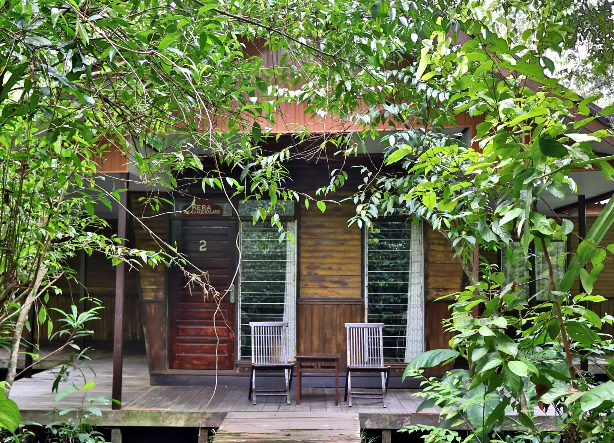 Rimba Orangutan Eco Lodge