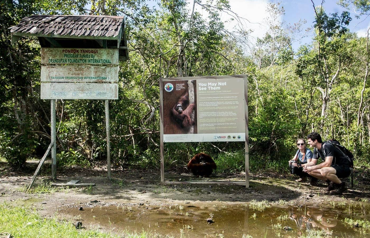 Visitors at the entrance to Tanjung Puting National Park