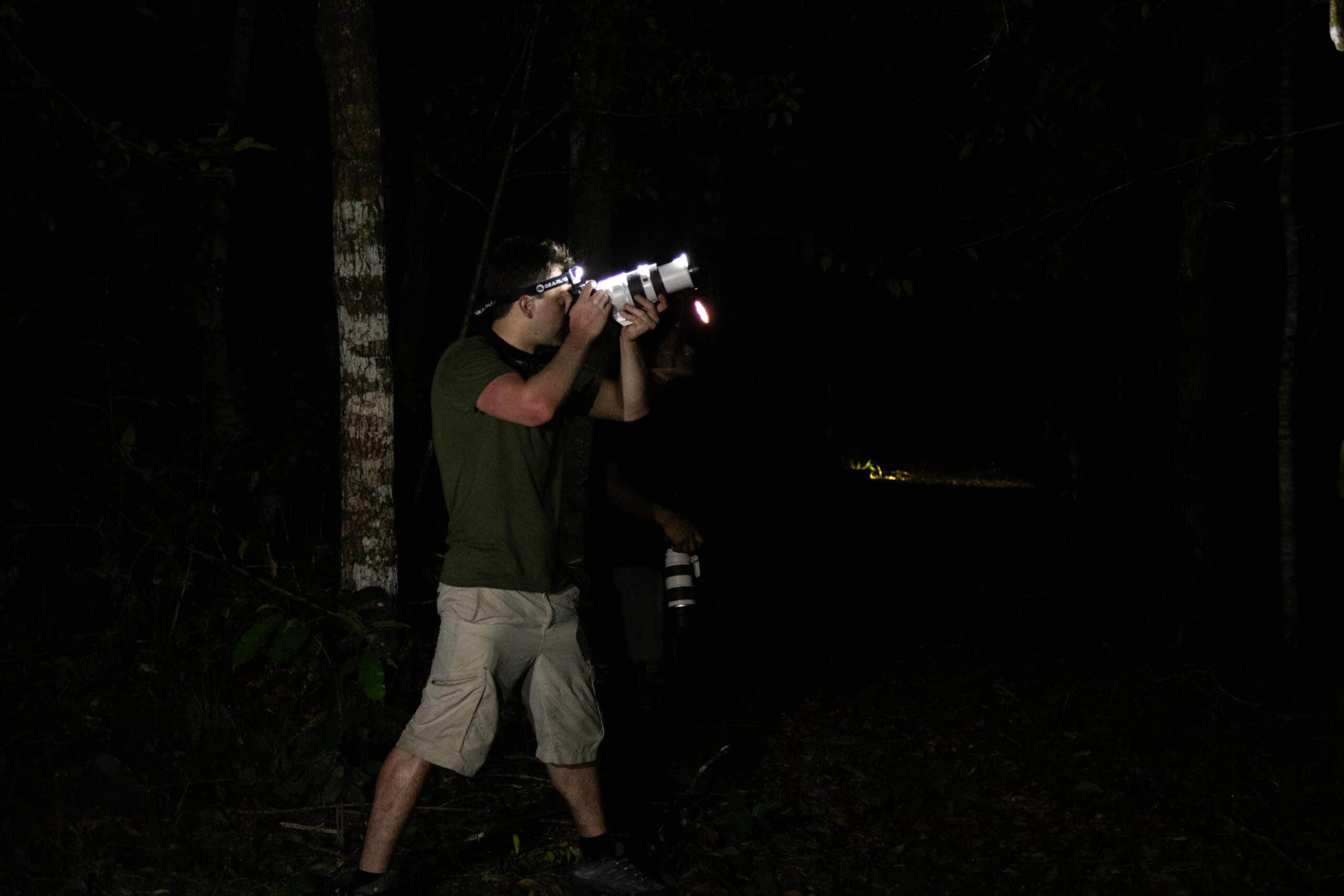 Night jungle trek through Borneo rainforest with head torches