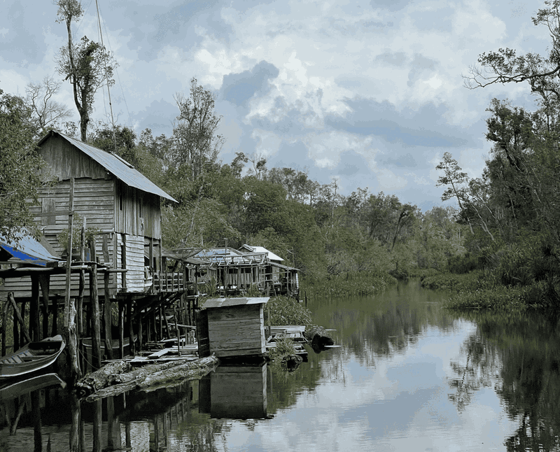 Sekonyer riverside village in Central Kalimantan