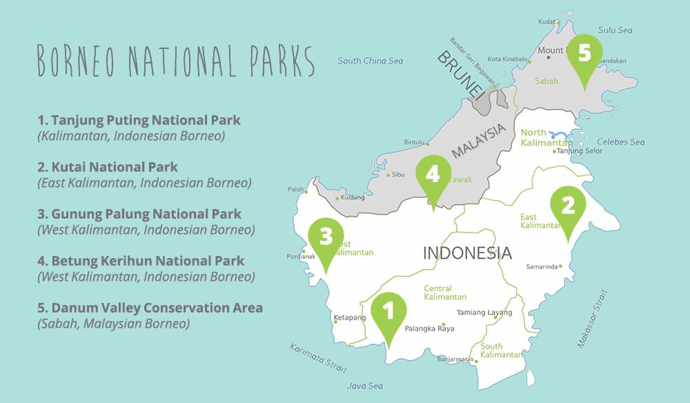 Map OTT top 5 National Parks to see orangutans in Borneo