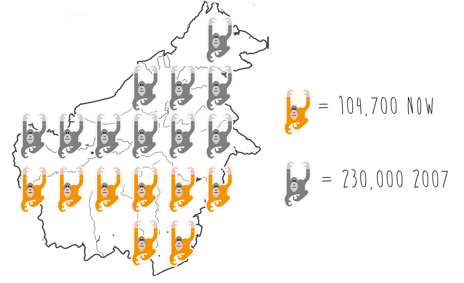 Critically Endangered Orangutans