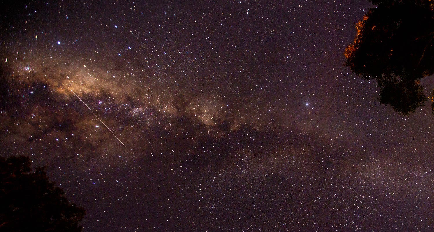 Borneo wildlife and landscape