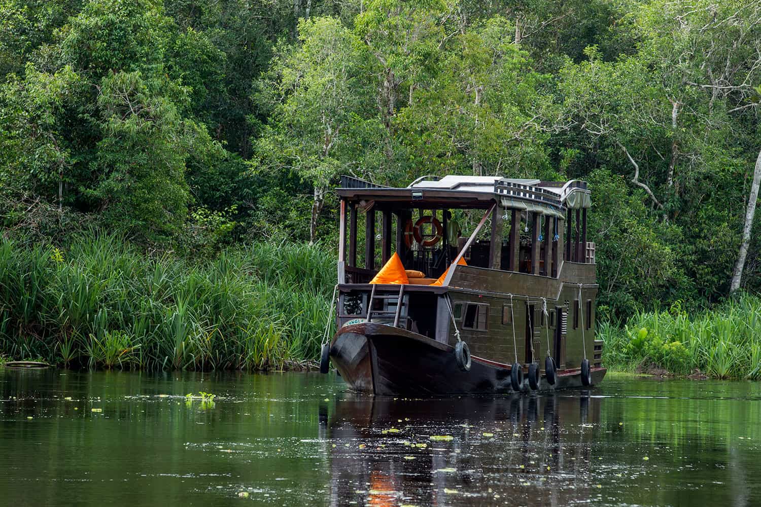 The Klotok river boat cruising on the Sekonyer River
