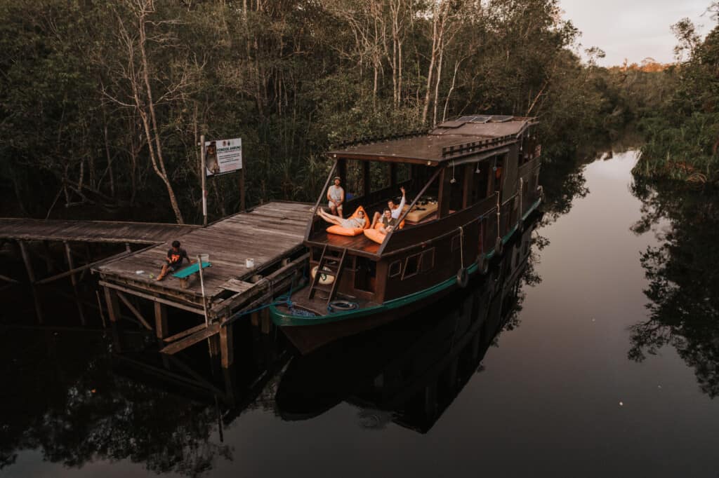 Aerial view of Borneo rainforest and rivers