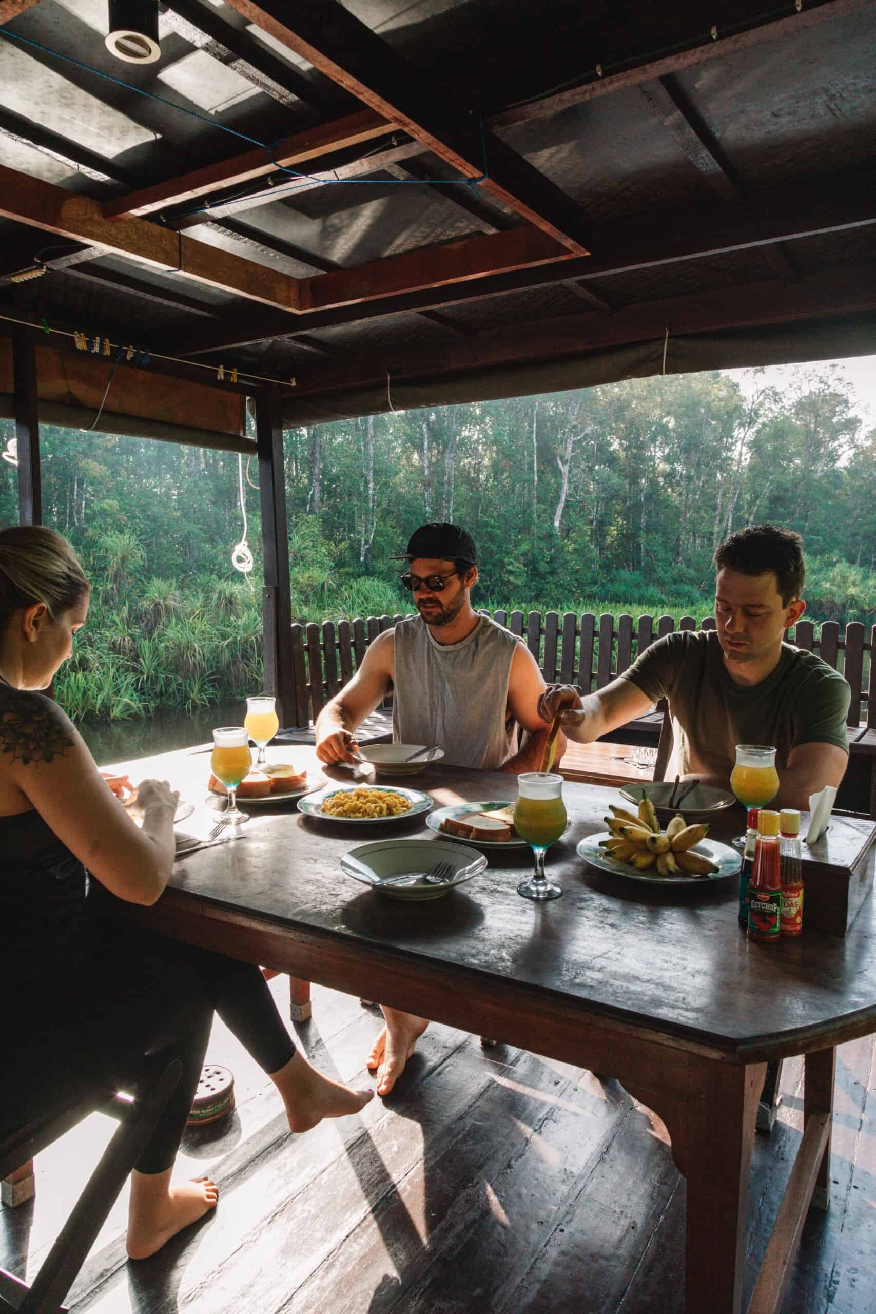 Proboscis monkey morning sighting