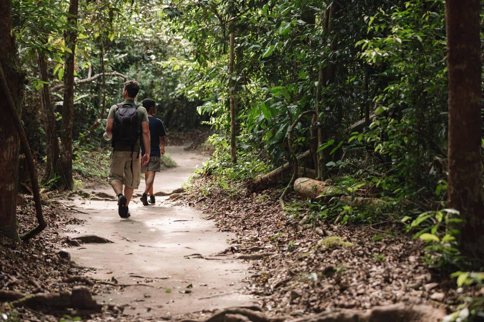 Camp Leakey feeding station