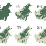 Palm Oil Spread Map Borneo's Orangutans