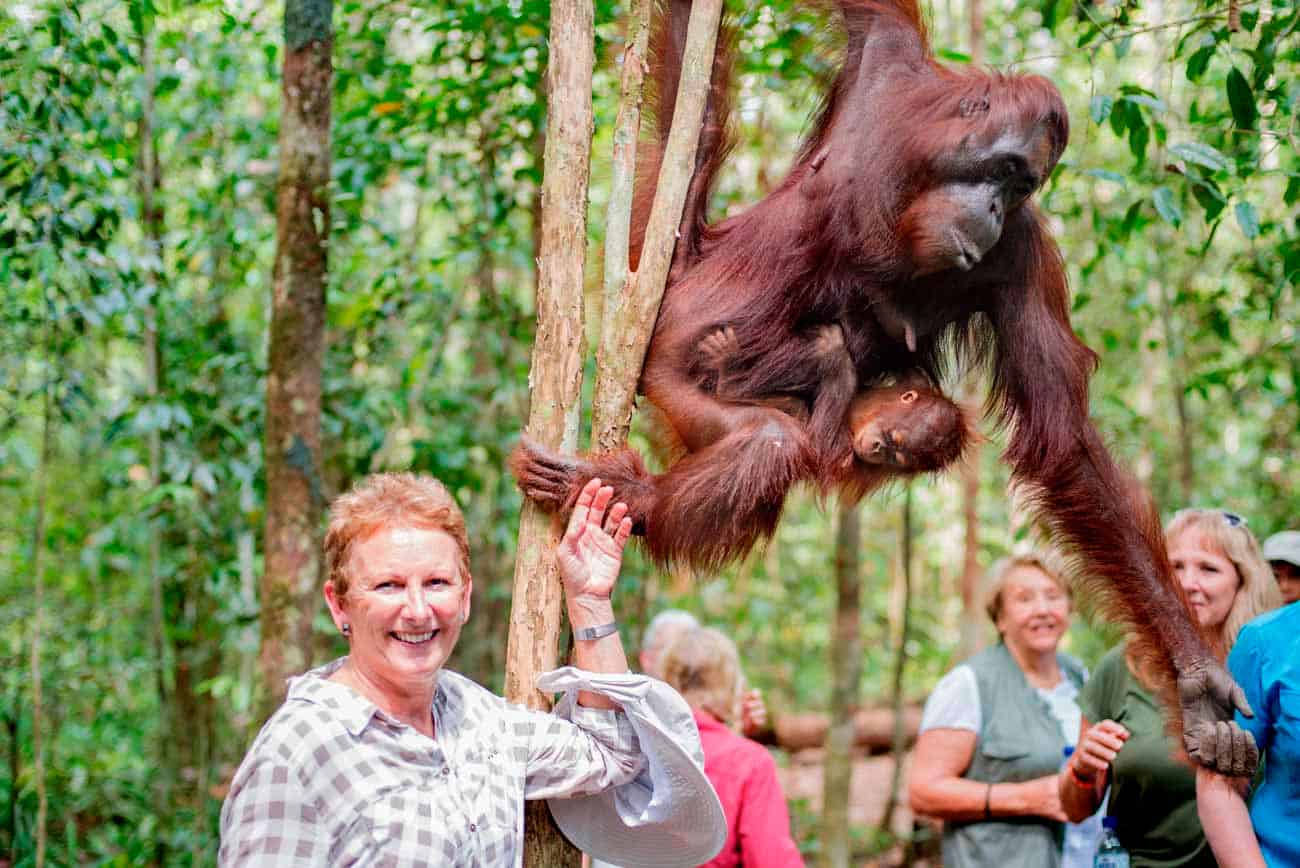 Laura In Borneo Jungle With Orangutan