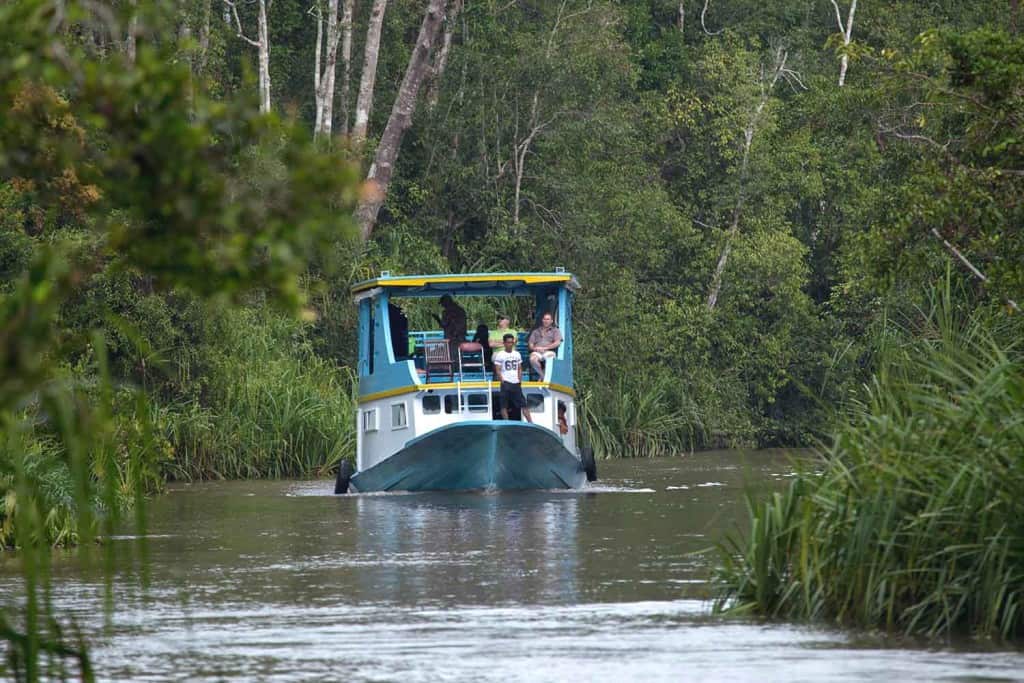 Klotok jungle tour Borneo - Technology Free Trekking Tour