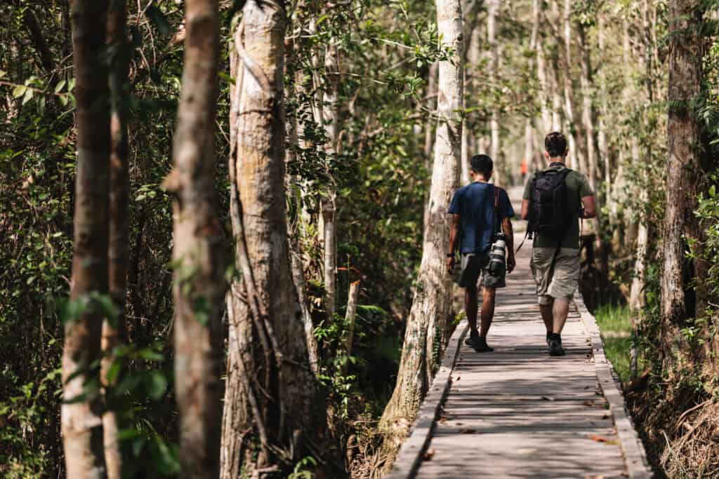Tour walk along the boardwalk into Pondok Tanggui